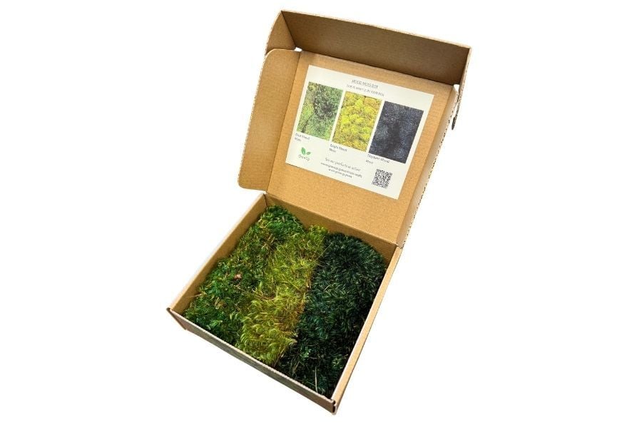 Mood Moss Box