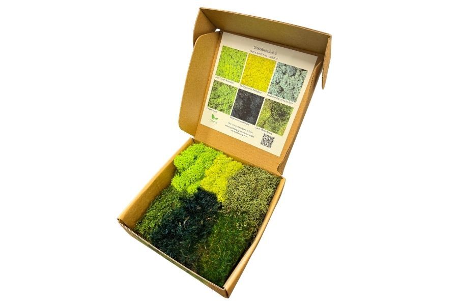 Designed Moss Box