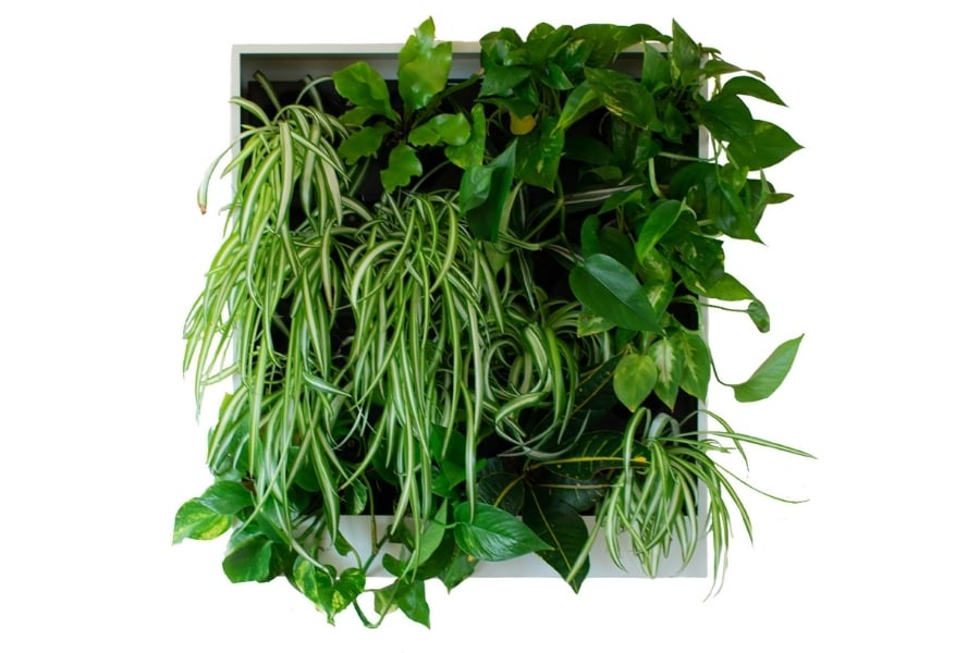 Anywhere wall mounted planter