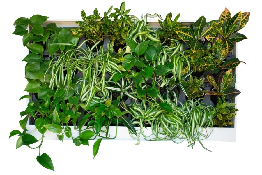 Designer wall mounted planter unit