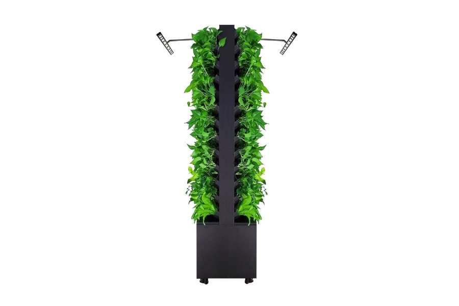 Double sided freestanding divider greenwall