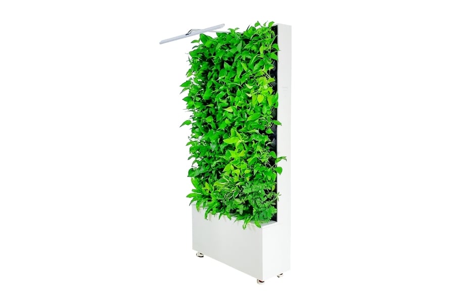 Freestanding Mobile Divider single sided greenwall