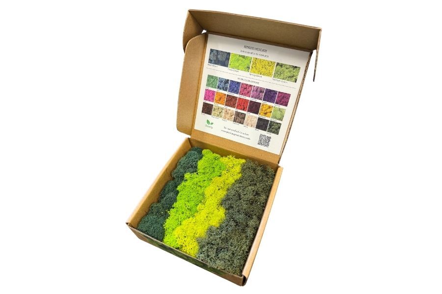 Reindeer Moss Box
