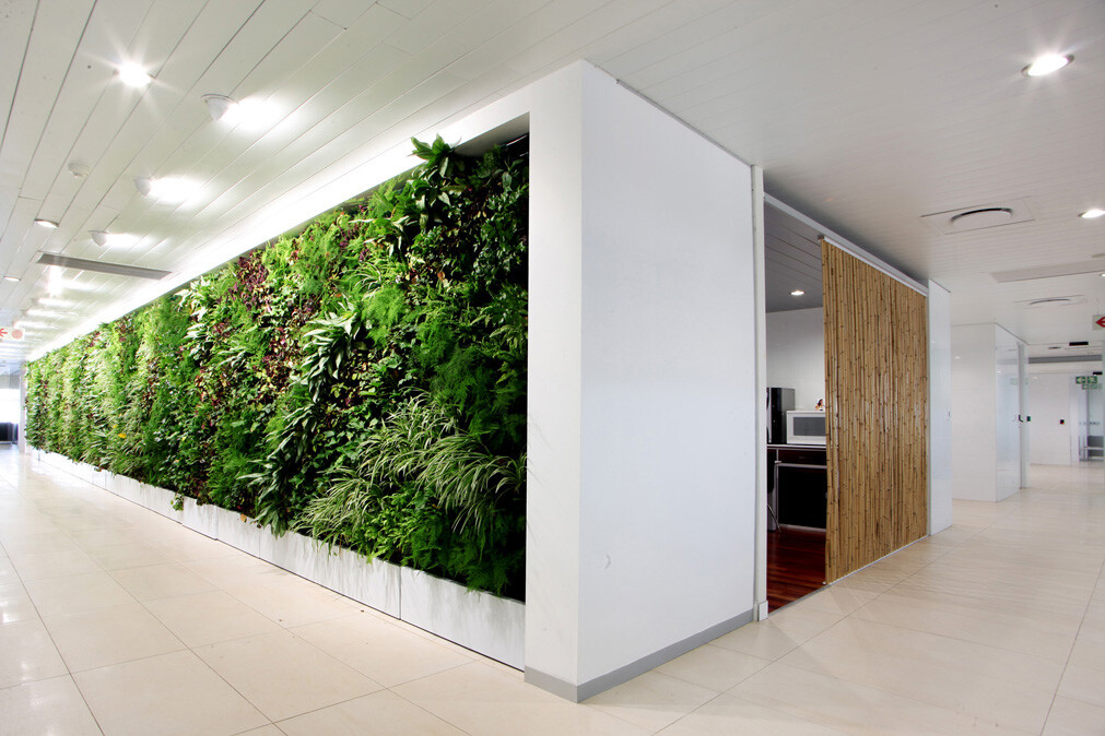 indoor living wall