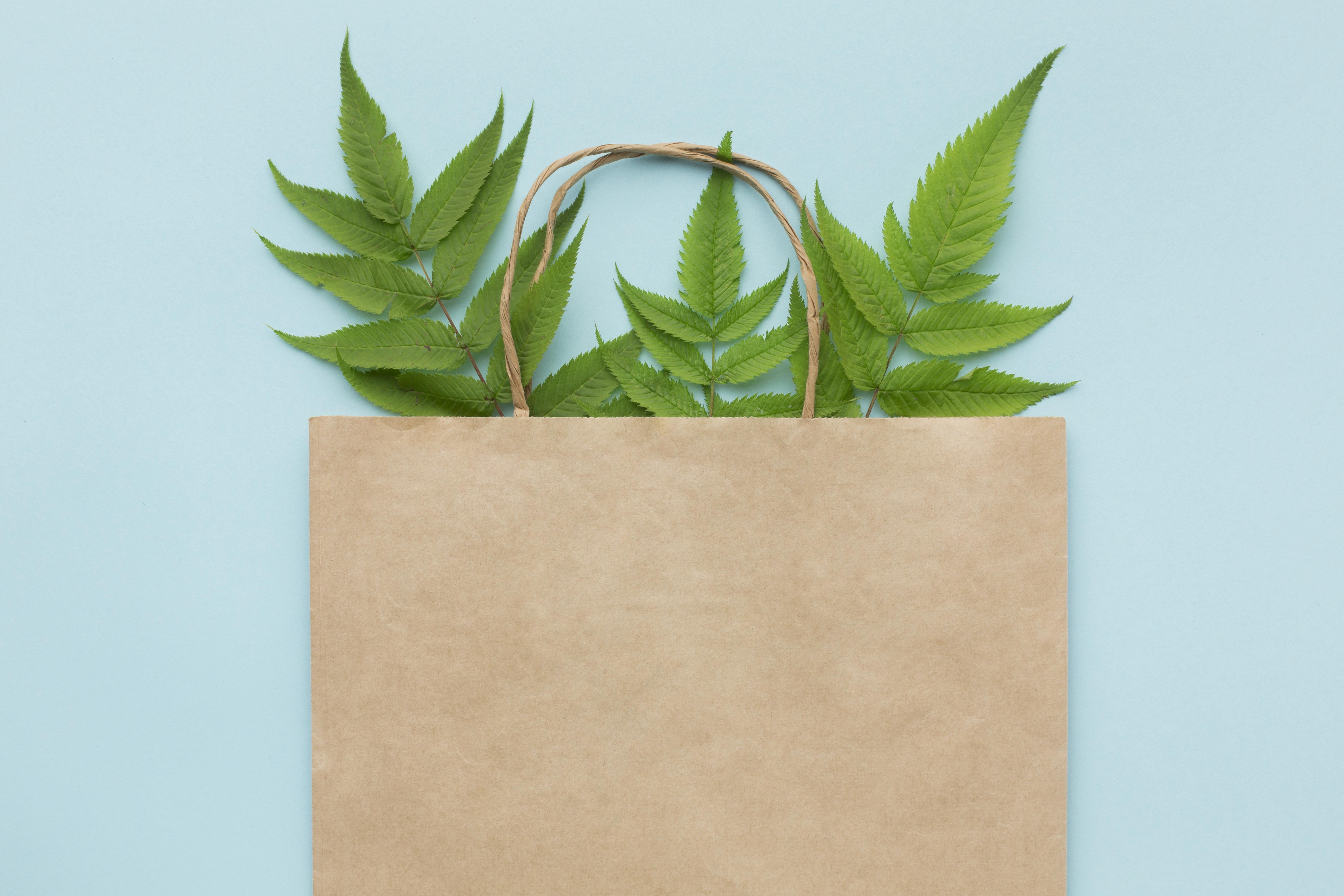ecology-bag-with-leaves (Designed by Freepik)