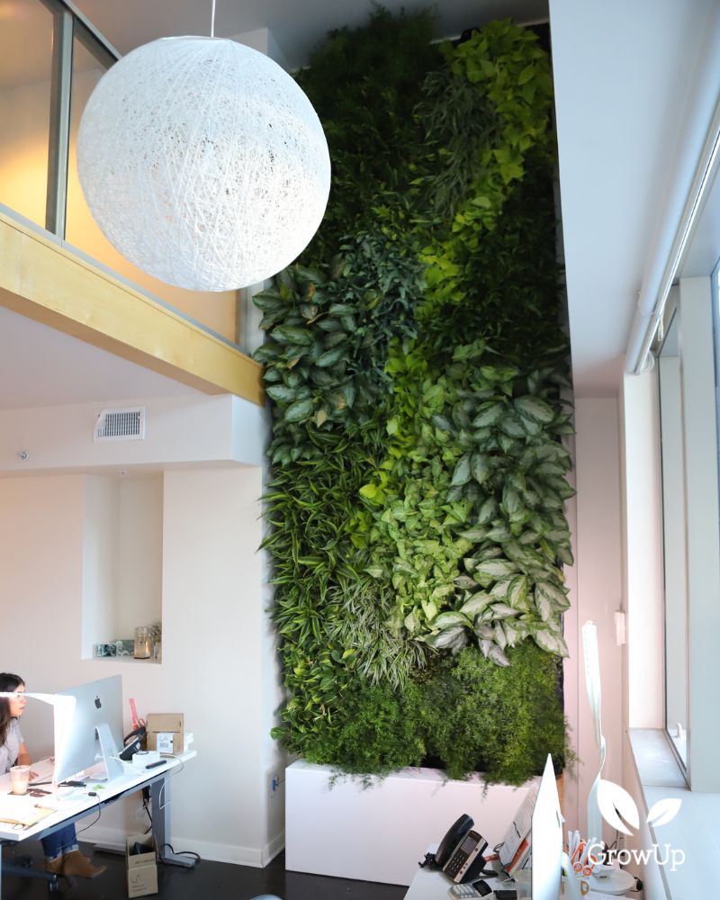 Tall Living Wall