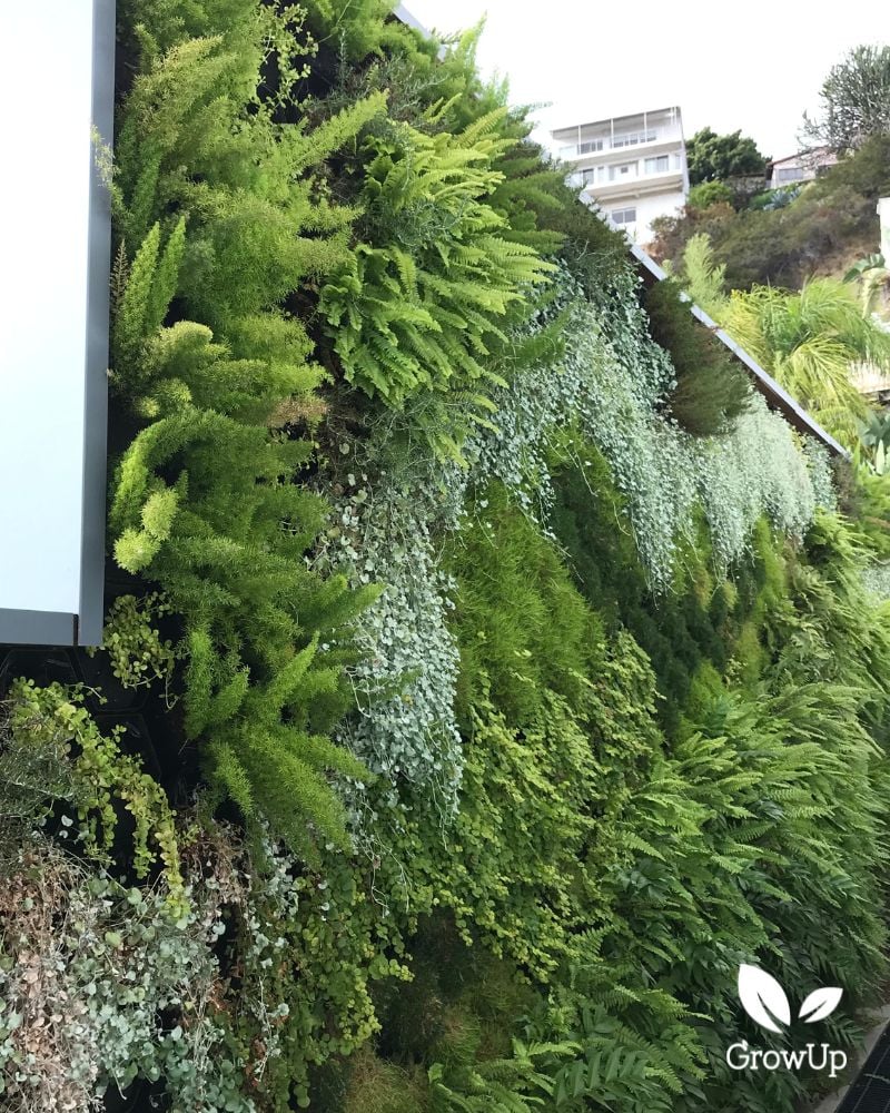 Living wall 