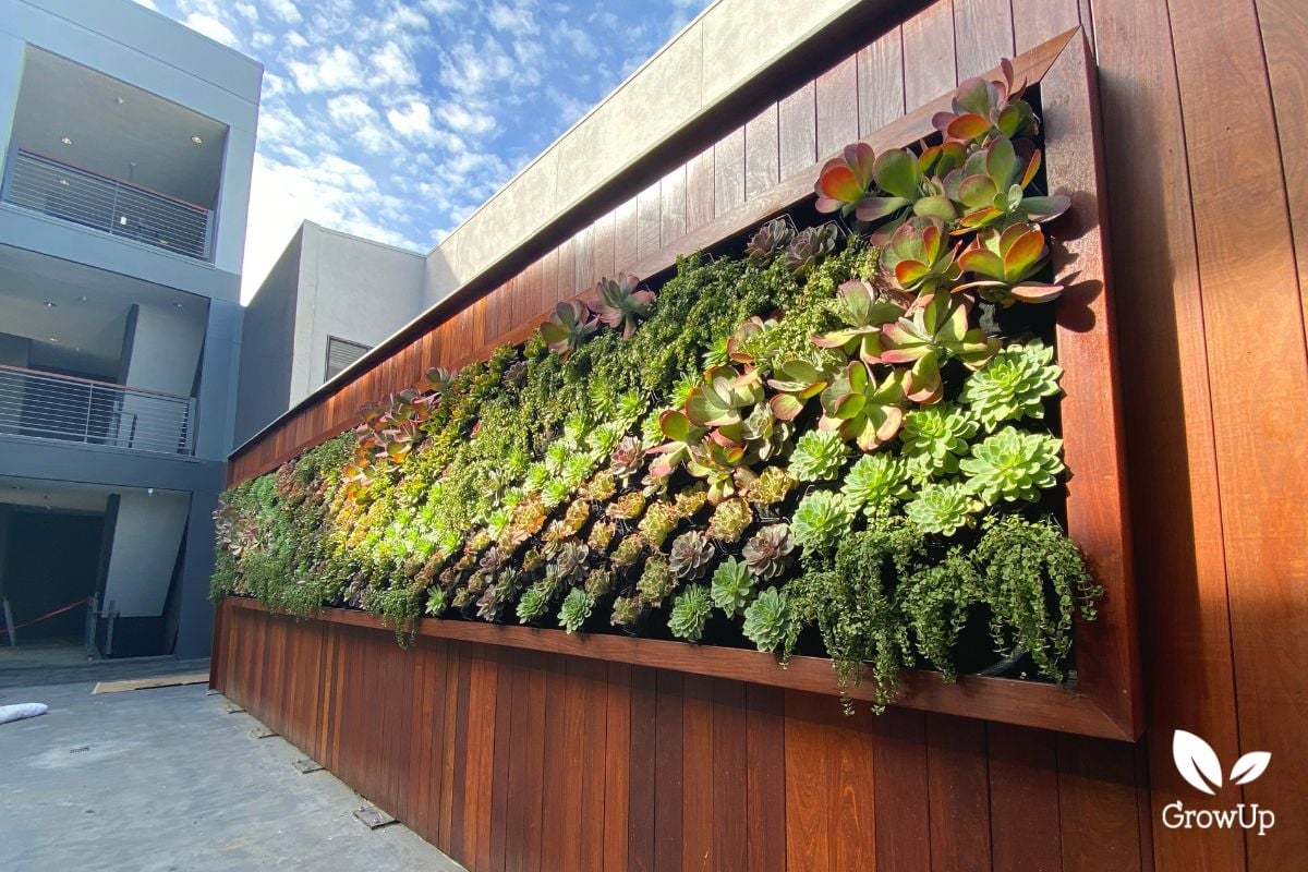 Living wall 