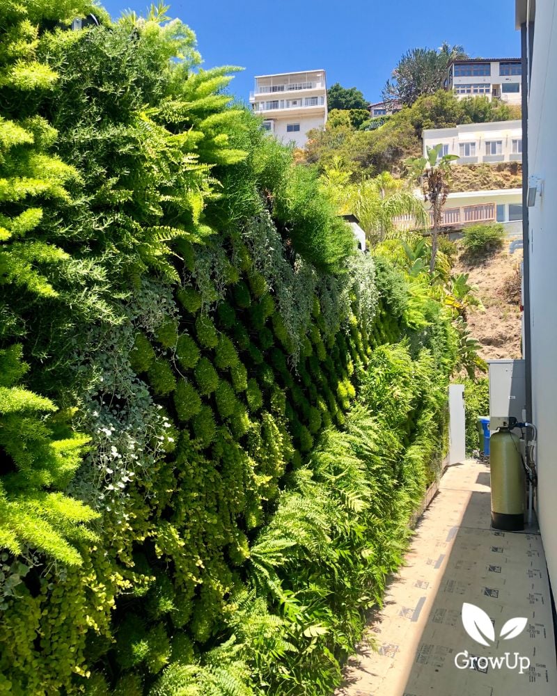 living wall 