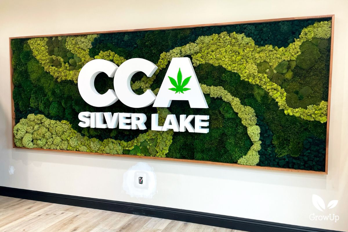 CCA moss art 