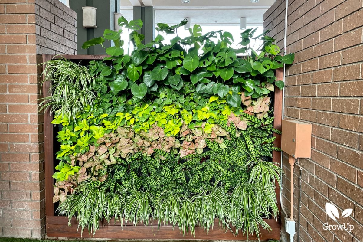 Living wall 