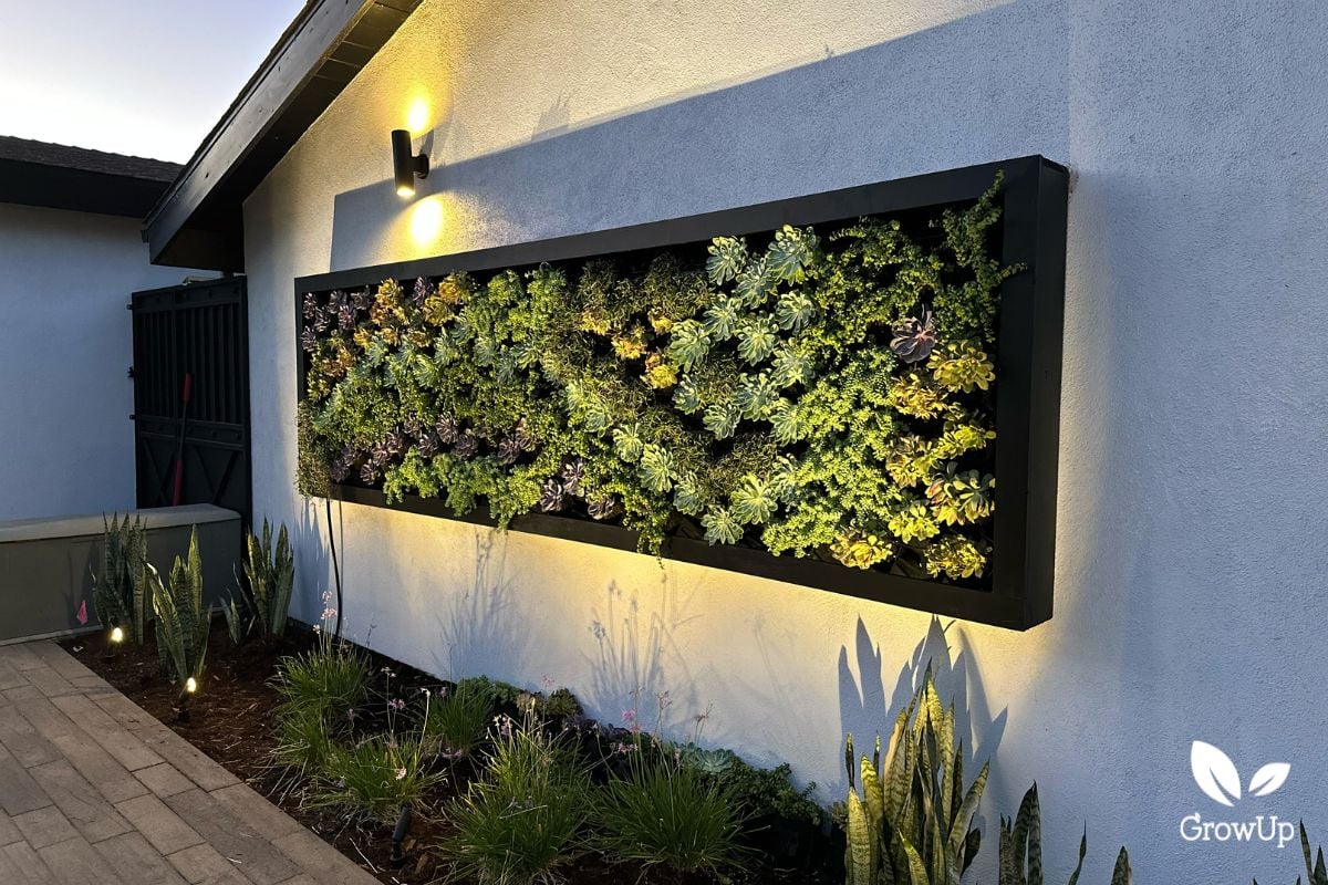 Plant wall 