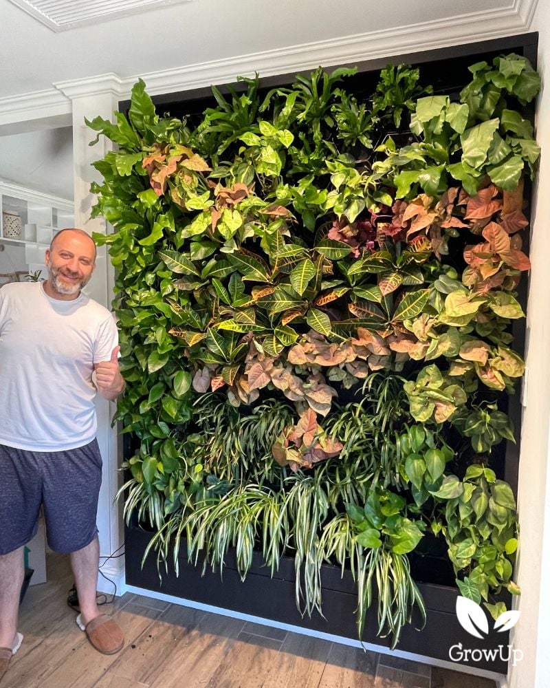 Residential living wall 