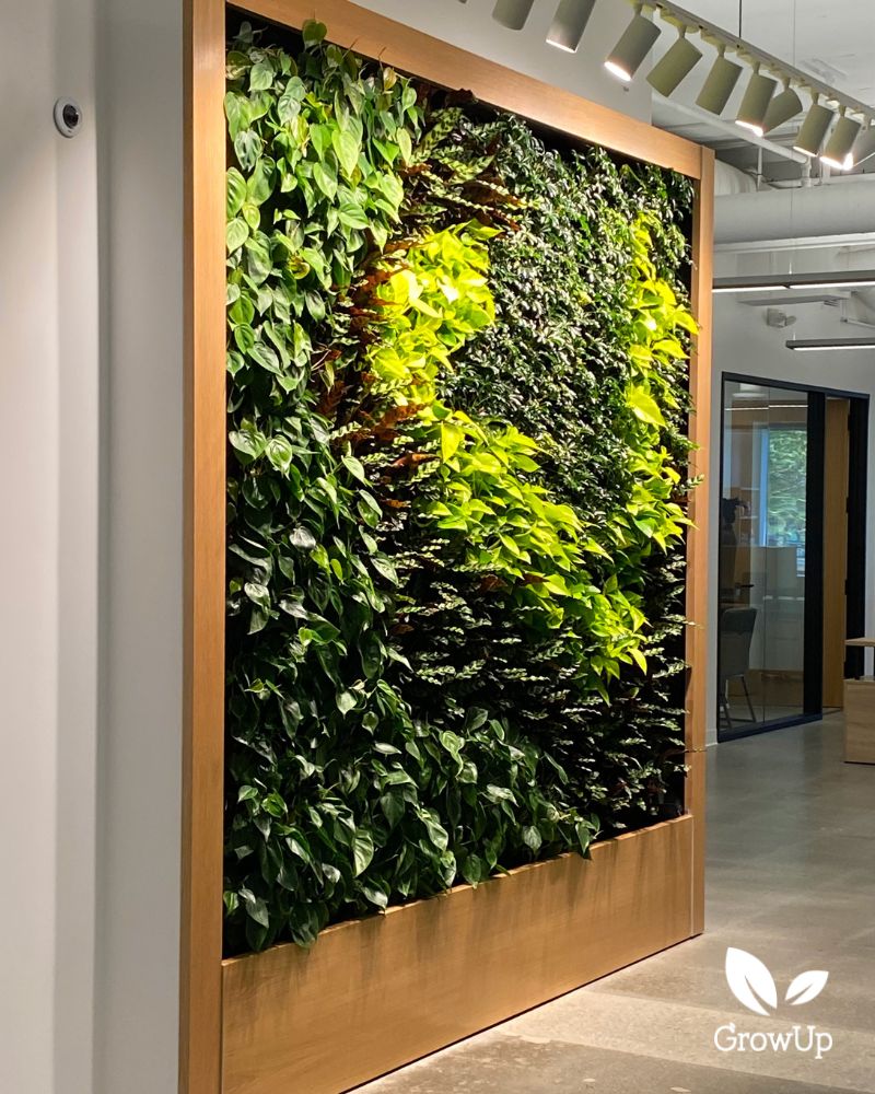 Indoor living wall 