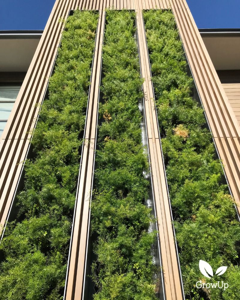 Plant wall 