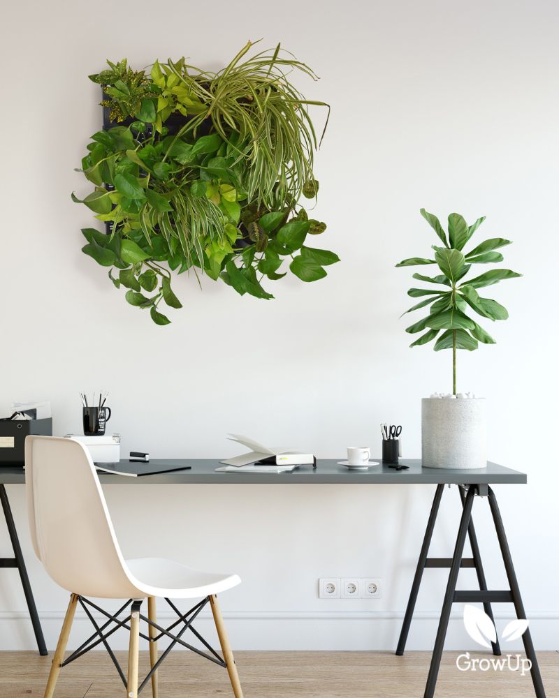 small living wall 