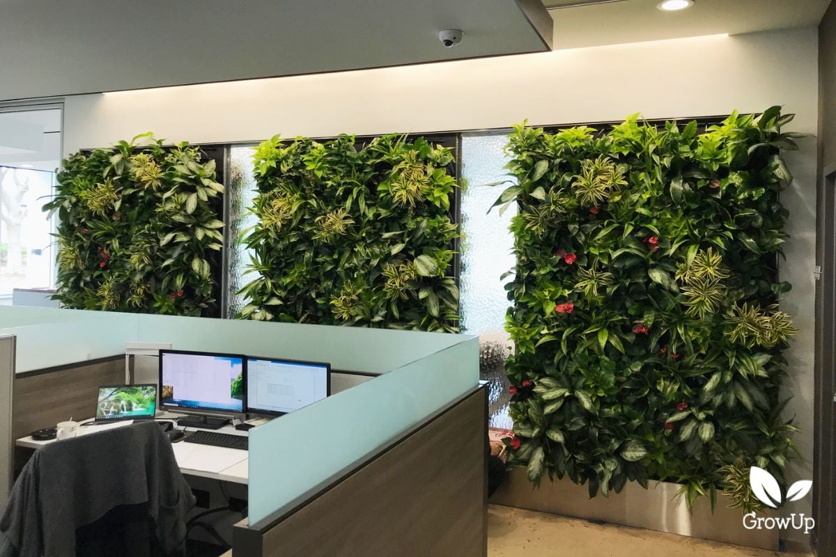 indoor living wall 