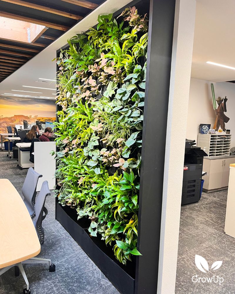 Living wall 