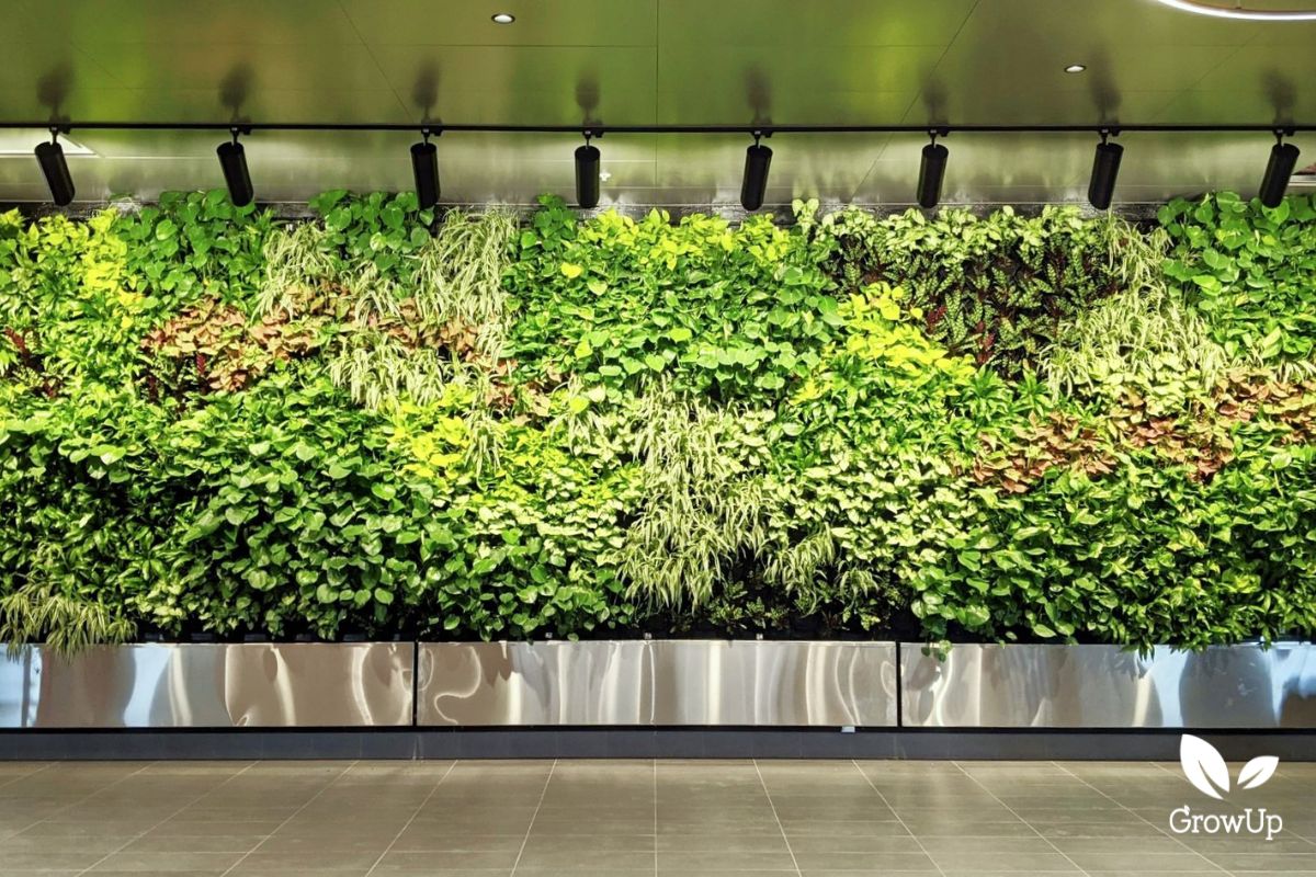 Living wall 