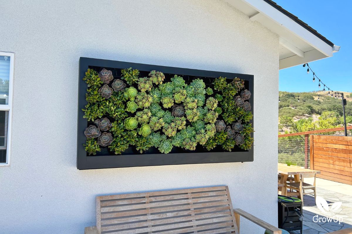 living wall 