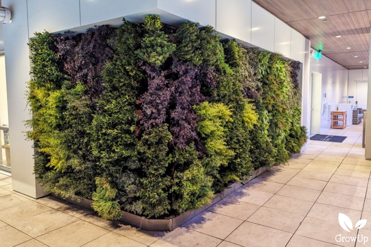 Green wall 