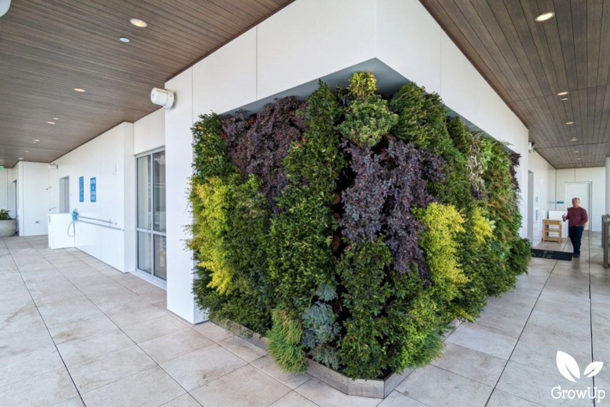 Living wall 