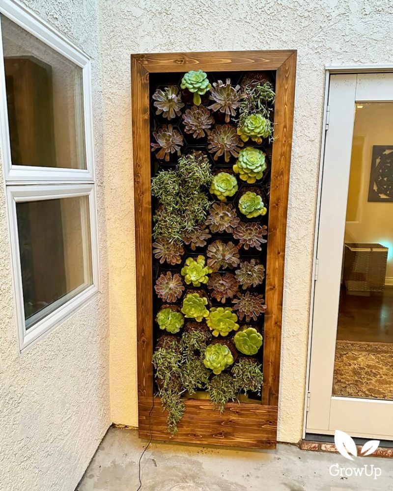 Succulent wall 