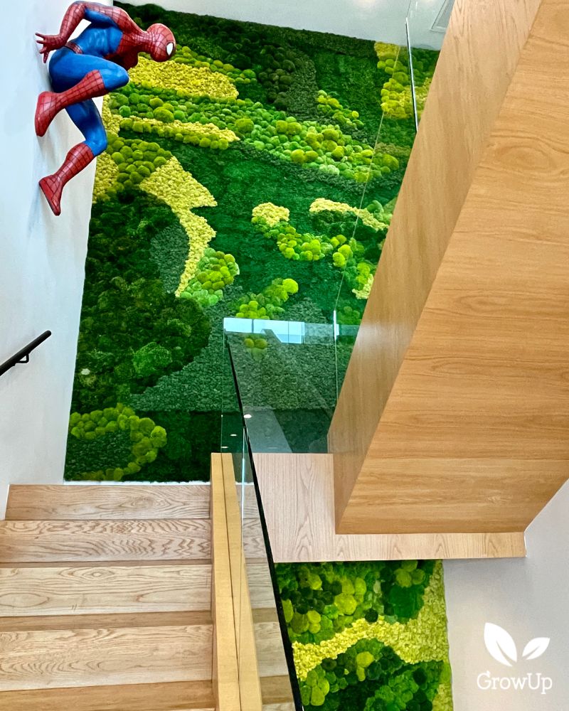 Dobrik Moss wall 