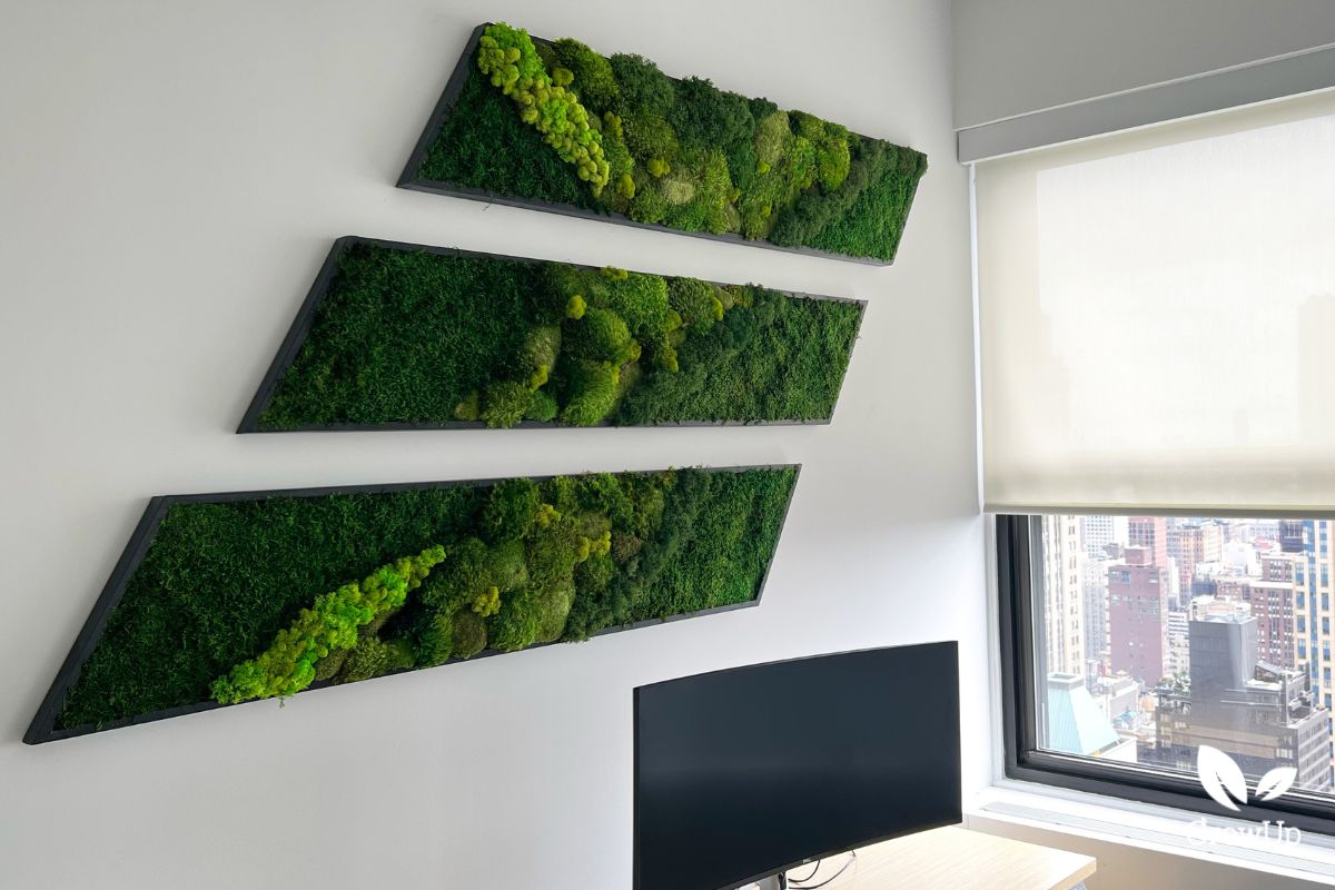 moss wall 