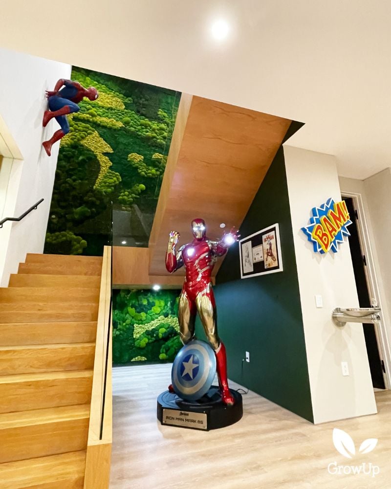 Dobrik  Moss wall 