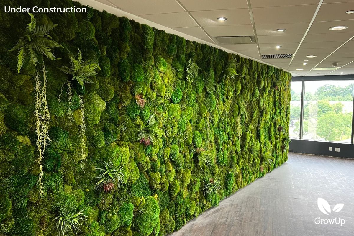 moss wall 