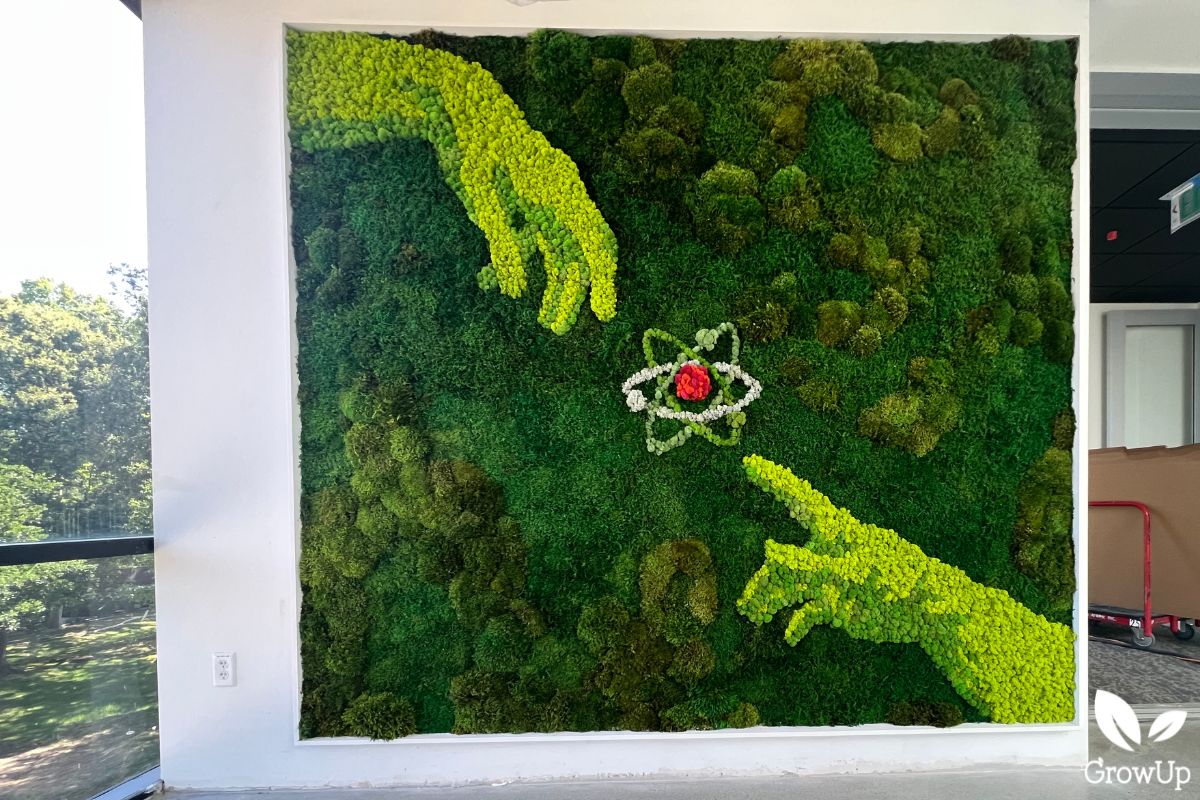 Moss wall 