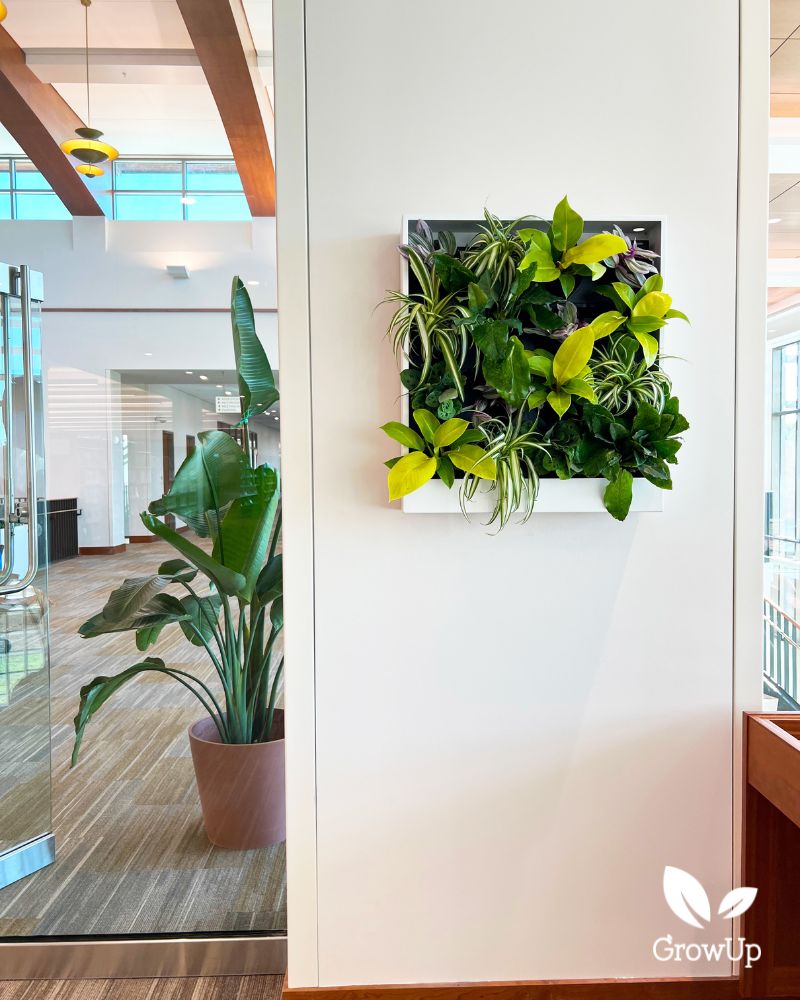 living wall 