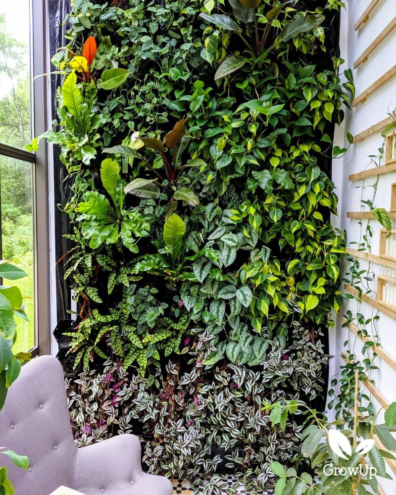 living wall 