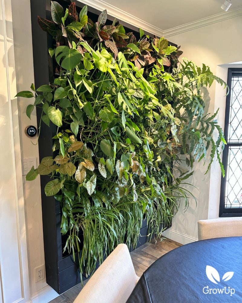 living wall 