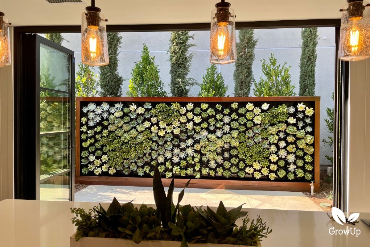 living wall 