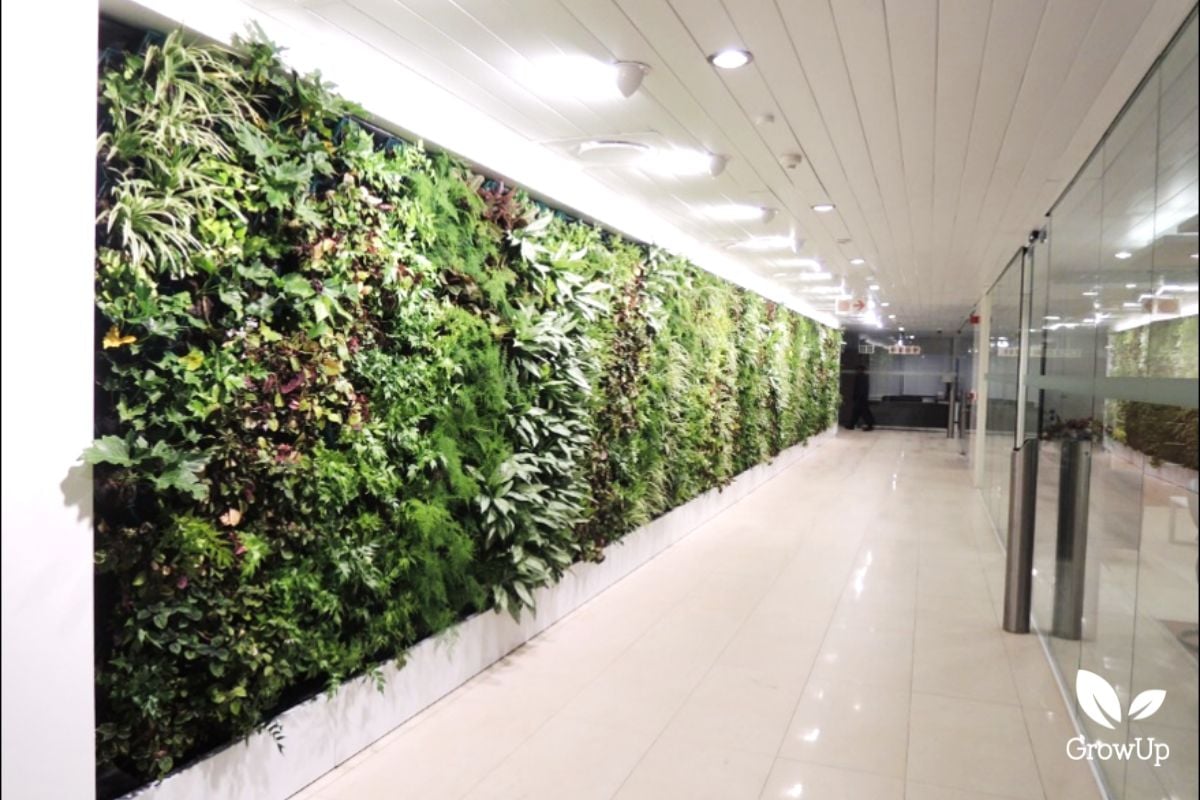 living wall 