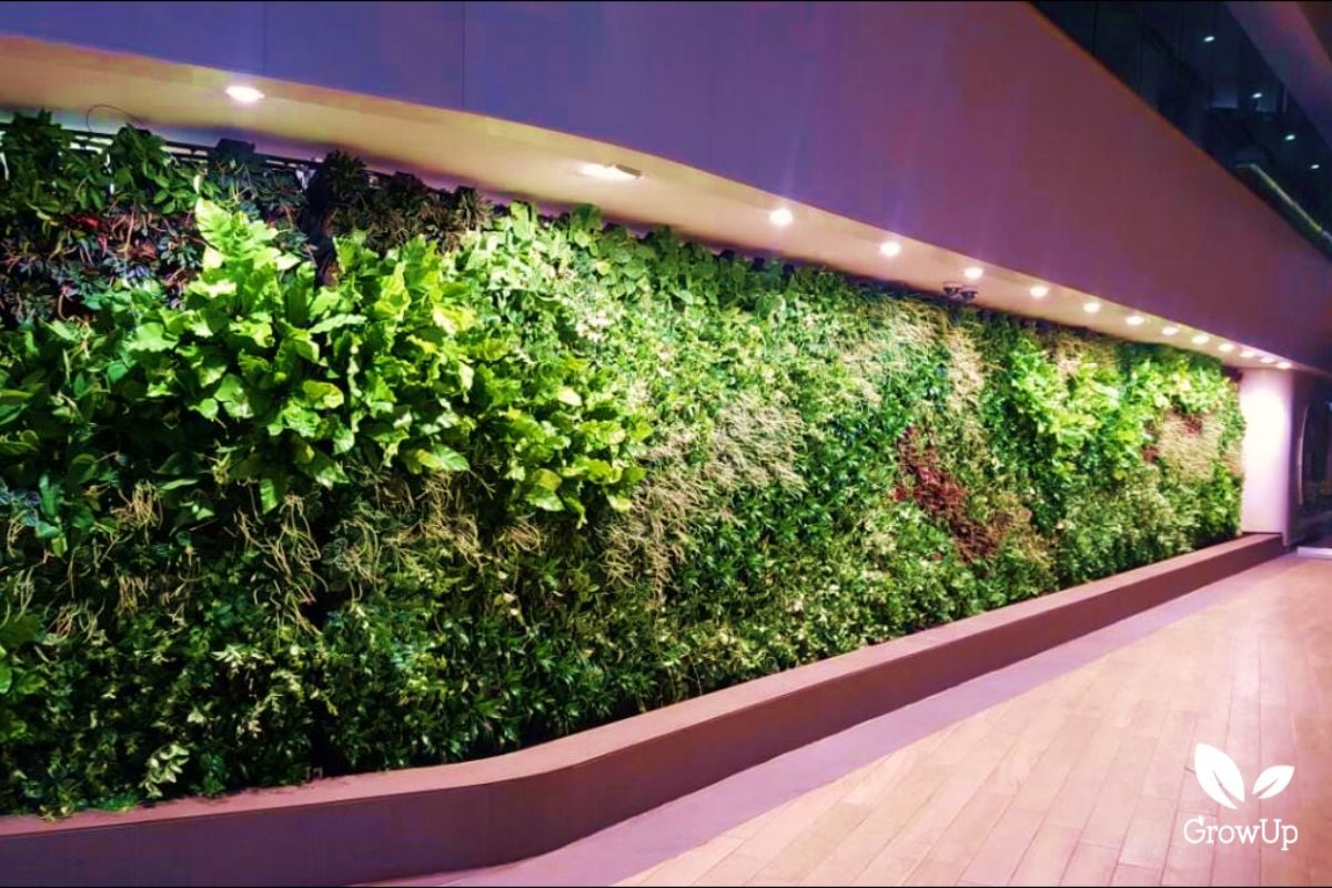 living wall 