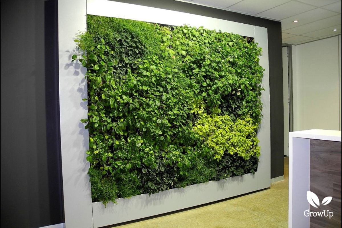 living wall 