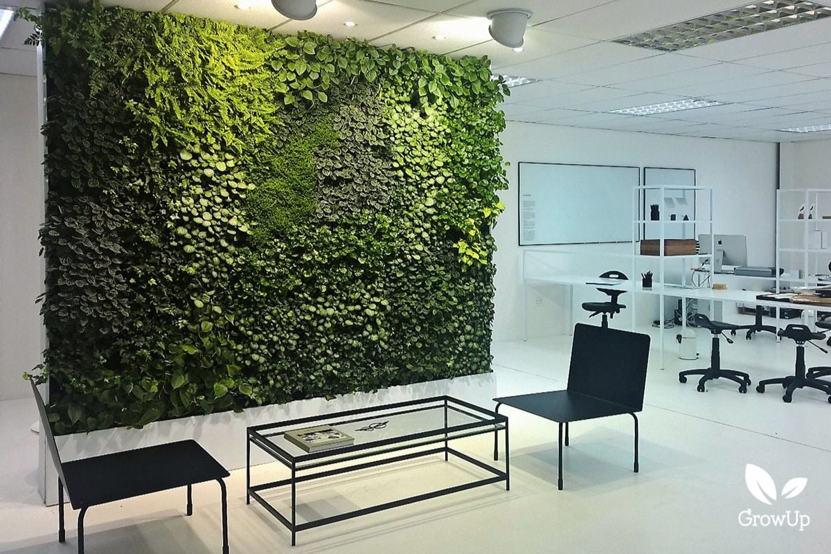 living wall 