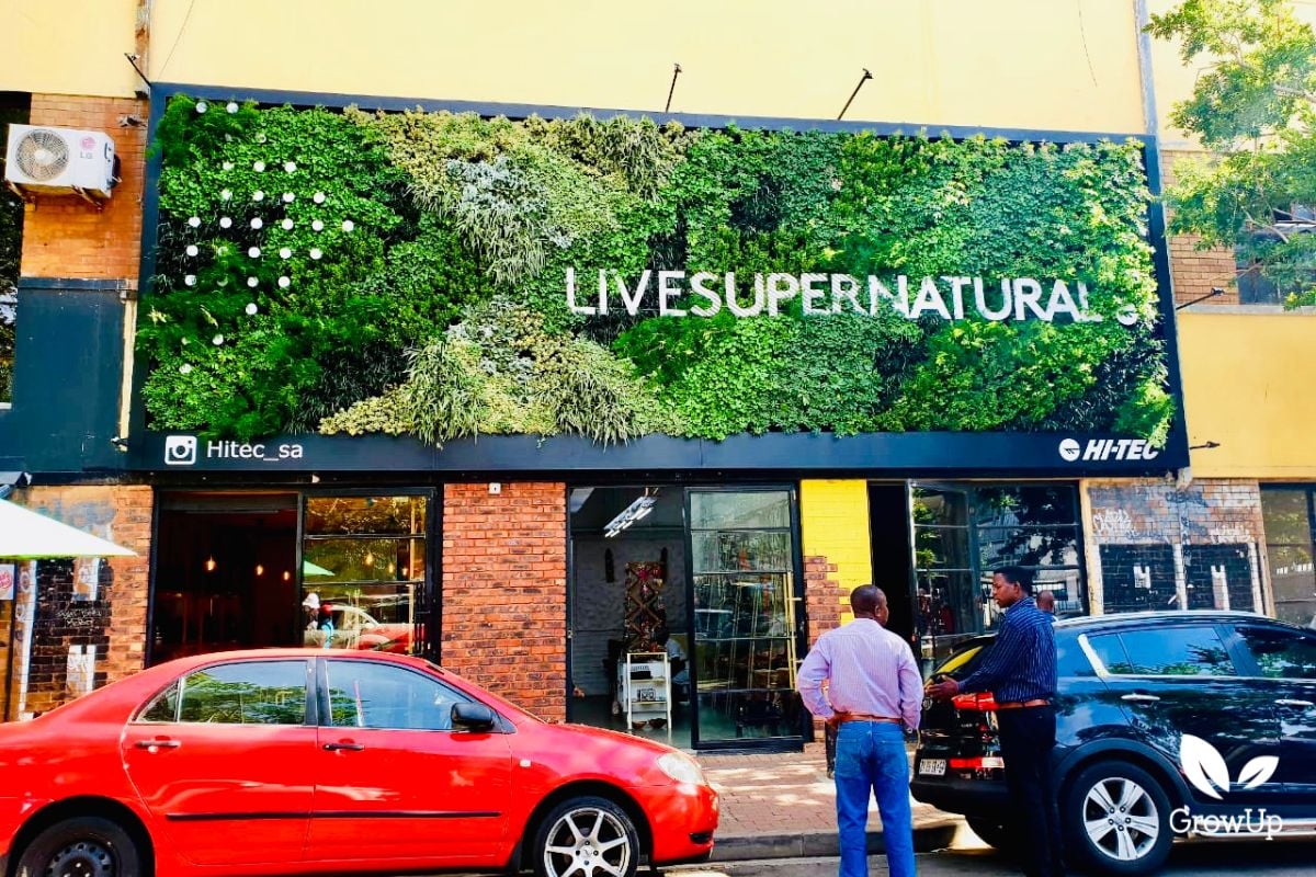Live Natural living wall 