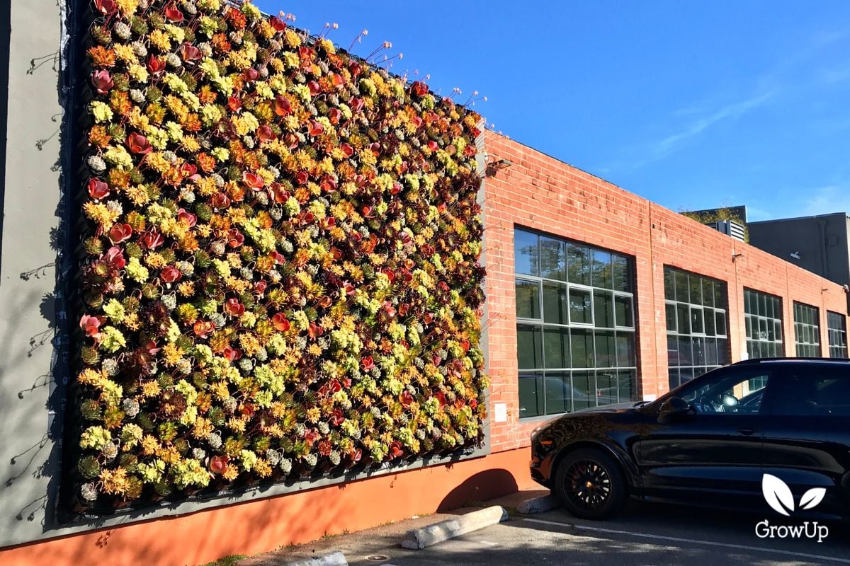 plant wall 