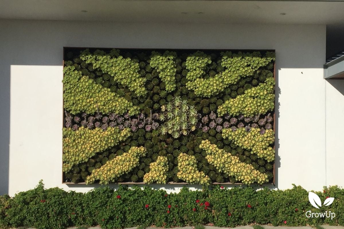 succulent wall 