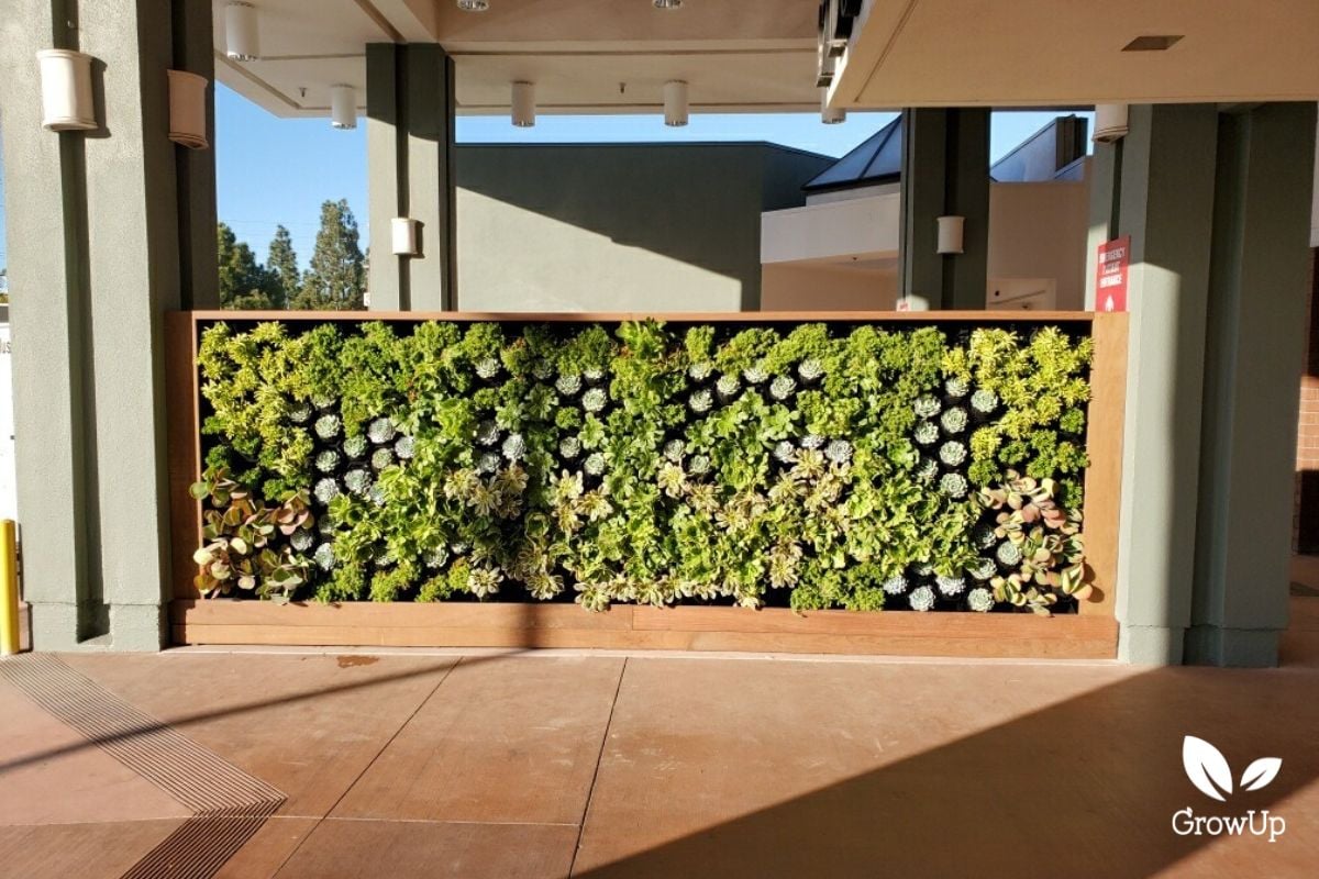 plant wall 