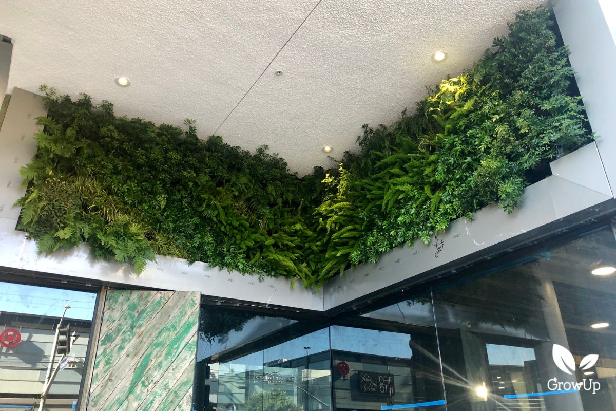 living wall 