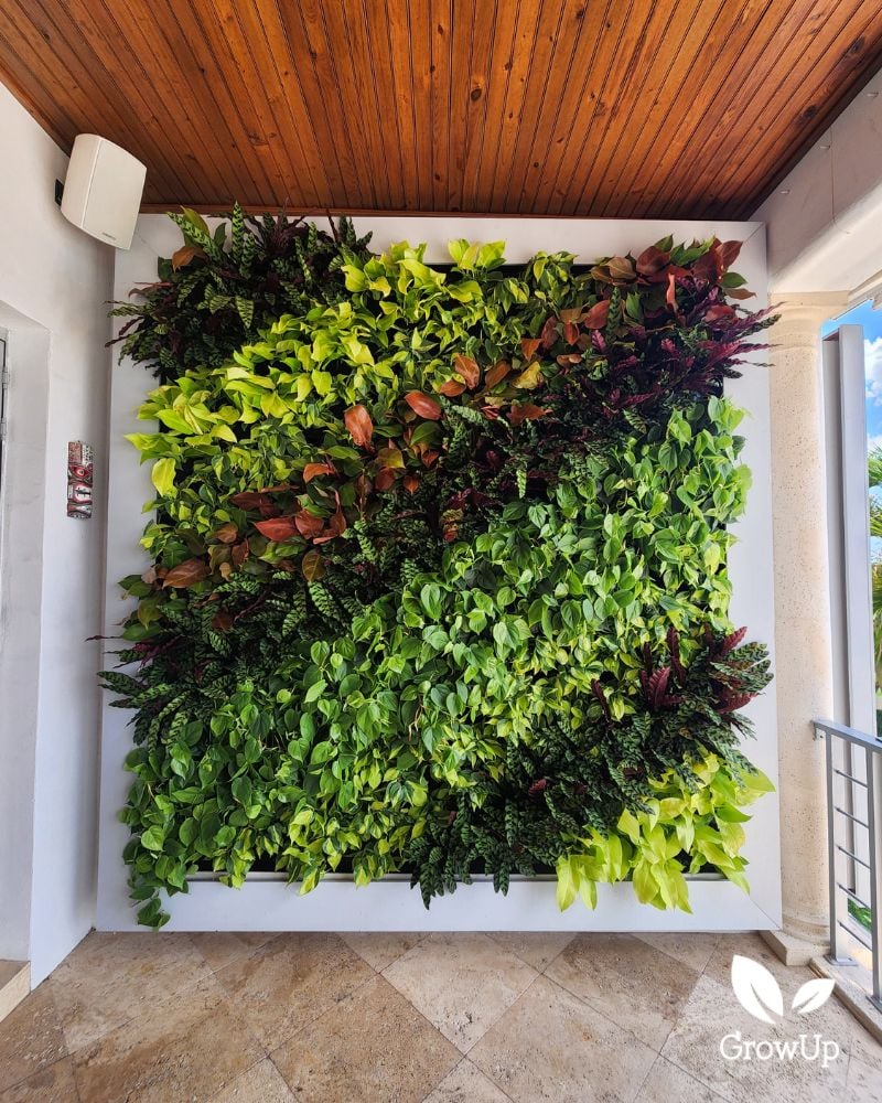 plant wall 