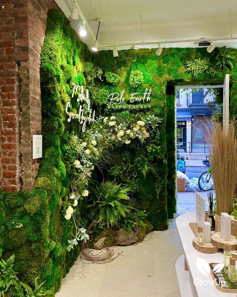 Moss design 