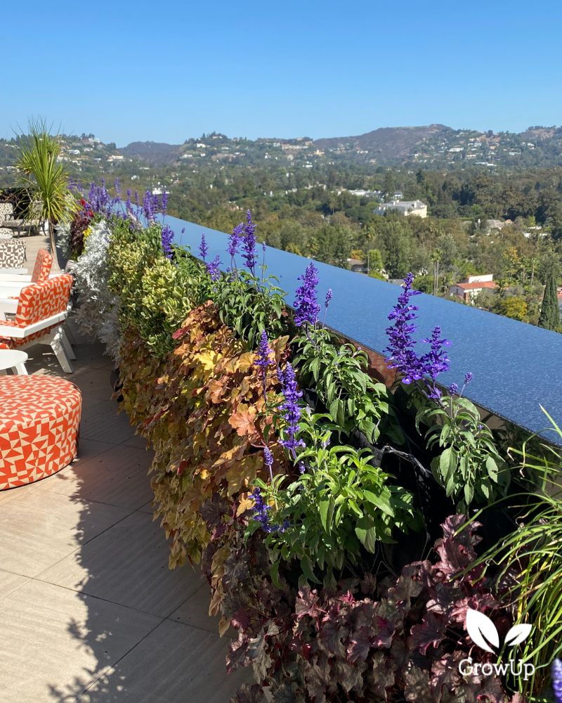 Outdoor living wall 