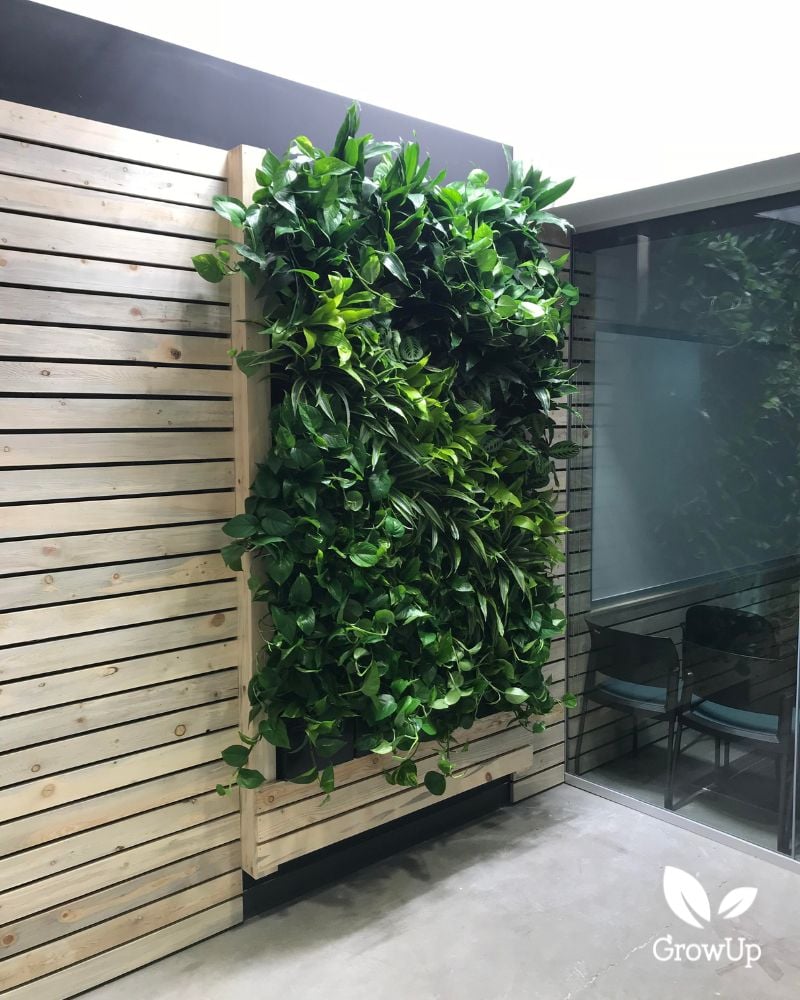 plant wall 