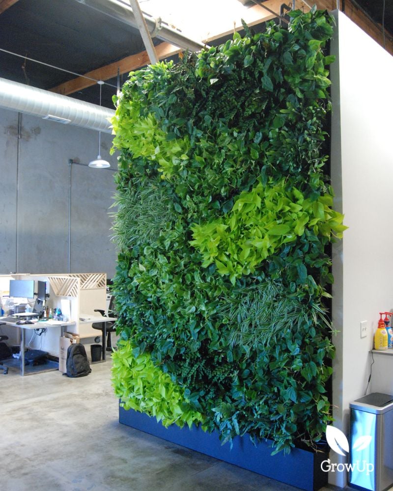 indoor office living wall 